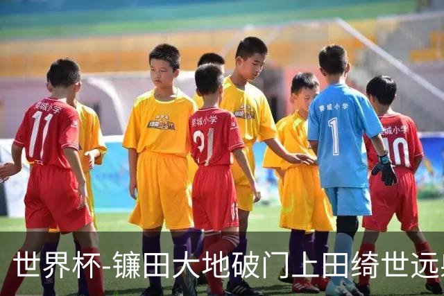 世界杯-镰田大地破门上田绮世远射建功 半场日本2-0突尼斯